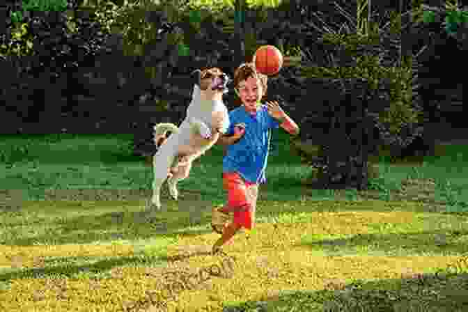 A Dog And A Child Playing Together. Ask Now The Beasts: Our Kinship With Animals Wild And Domestic