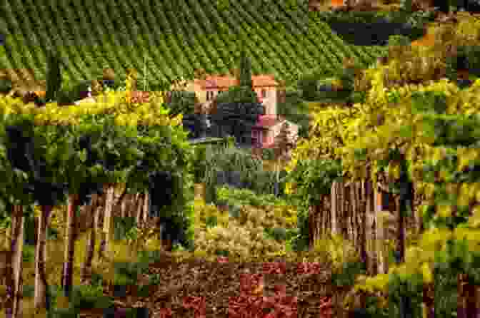 A Passionate Embrace Between Isabella And Lorenzo Amidst The Vineyards Of Tuscany Tuscany Nights: Italian Billionaire Second Chance Romance