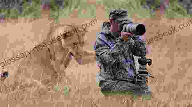 A Wildlife Photographer Taking A Picture Of A Lion. Ask Now The Beasts: Our Kinship With Animals Wild And Domestic