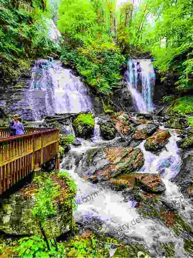 Anna Ruby Falls In Unicoi State Park The Best Of Me (Blessings Georgia 13)