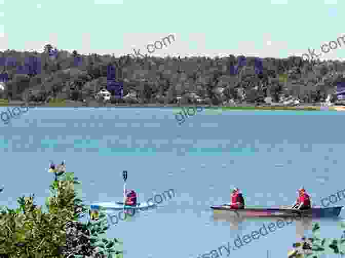 Children Boating On Lake Huron Ship Captain S Daughter: Growing Up On The Great Lakes