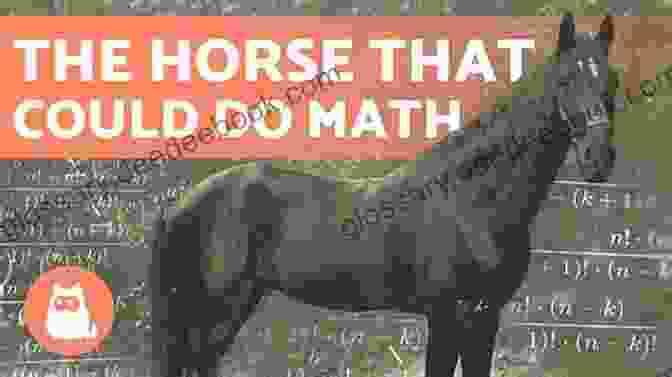 Clever Hans, The World's Smartest Horse, Performing Mathematical Calculations And Answering Questions Posed By His Audience Wonder Horse: The True Story Of The World S Smartest Horse