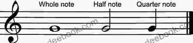 Diagram Of Quarter Notes And Half Notes I Hit Drums A Beginner S Guide