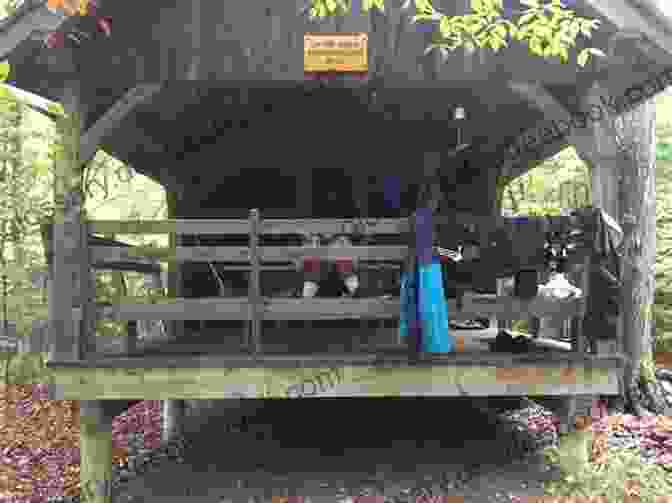 Hikers At A Shelter On The Long Trail The Long Trail (Ready For Chapters 2)