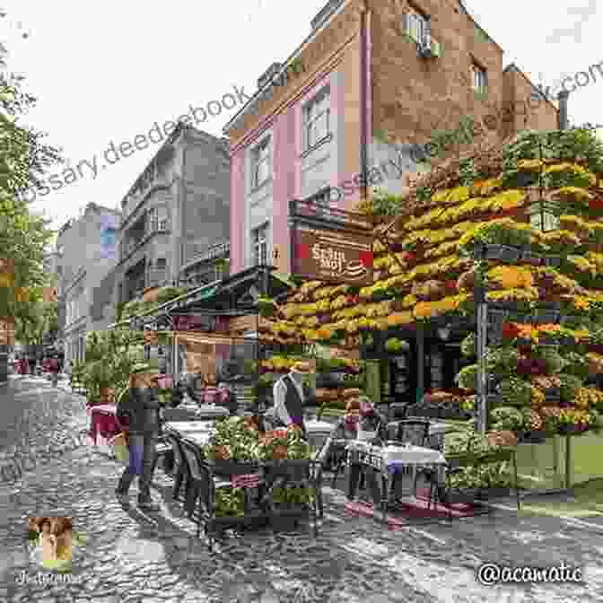 Skadarlija Bohemian Quarter Kewi Travels Guide: Belgrade Serbia (Kewi Travels Concise City Guides 3)