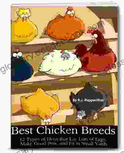 Best Chicken Breeds: 12 Types Of Hens That Lay Lots Of Eggs Make Good Pets And Fit In Small Yards (Booklet)