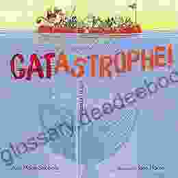 CATastrophe : A Story of Patterns