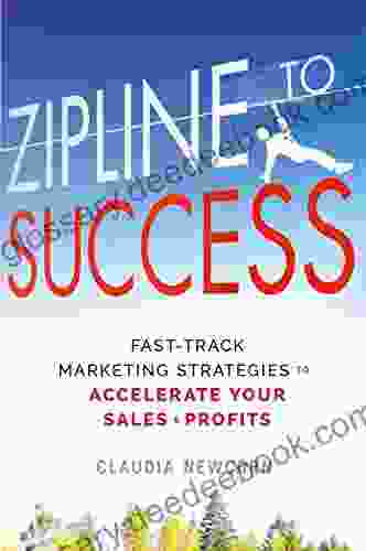 Zipline To Success: Fast Track Marketing Strategies To Accelerate Your Sales Profits