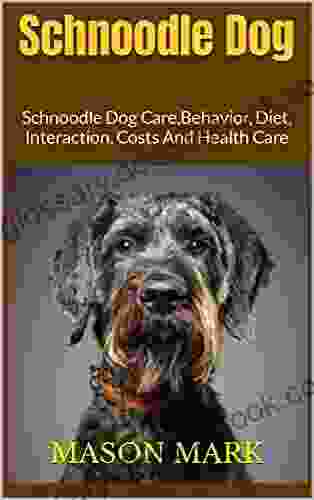 Schnoodle Dog : Schnoodle Dog Care Behavior Diet Interaction Costs And Health Care