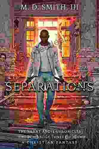 Separations: The Silent Angel Chronicles III