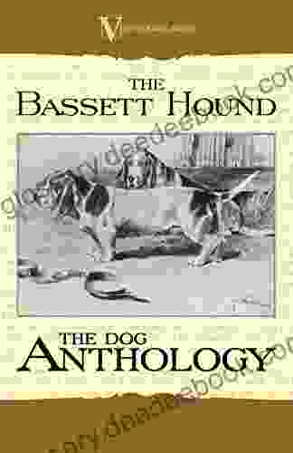 The Basset Hound A Dog Anthology (A Vintage Dog Breed Classic)