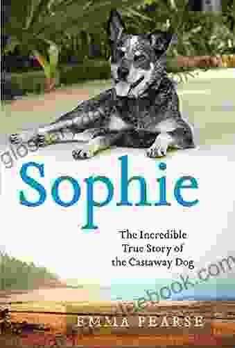 Sophie: The Incredible True Story Of The Castaway Dog